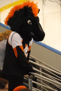 mustang mascot