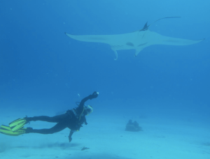 me diving with a manta ray. Worth any risk ...
